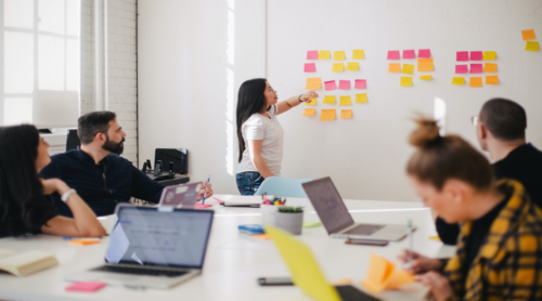 Directeur des Ressources Humaines