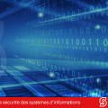 Directeur Logistique